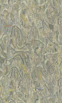 Van Gogh II 220050